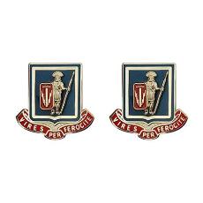 Special Troops Battalion, 1st Brigade, 1st Cavalry Division Unit Crest (Vires Per Ferocite)